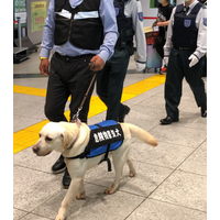 大型国際会議期間中、鉄道駅で「危険物察知犬」活用した警備が実施 画像