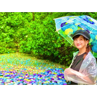 小松彩夏、紫陽花が浮かぶ美しい池での笑顔ショットを公開 画像