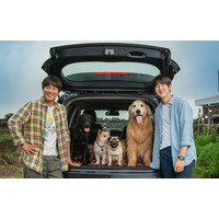 ユ・ヨンソク＆チャ・テヒョンが15年ぶり共演！犬と人間の絆を描いた『マイ・ハート・パピー』ティザービジュアル公開 画像
