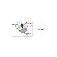 BIGLOBE、「WiMAXモニターサービス」利用者アンケートを実施 〜 65％が「速い」と回答 画像