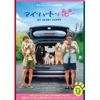 愛犬と別れるはずがワンコ大増殖？！映画『マイ・ハート・パピー』特報映像が解禁 画像