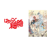 アニメ『はたらく細胞』がNHK Eテレで4月放送スタート！キャストに花澤香菜、前野智昭ら 画像