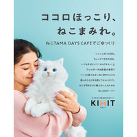二子玉川に「ねこTAMA DAYS CAFE」期間限定オープン 画像