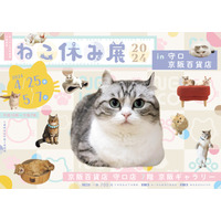 守口市初上陸！「ねこ休み展」が京阪百貨店 守口店で開催 画像