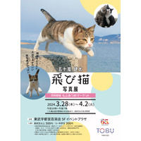 五十嵐 健太「飛び猫写真展」が東武宇都宮で開催 画像