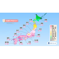 ウェザーニューズ、今週末から桜開花スタート！トップは高知で3月22日、東京は24日予想 画像