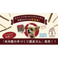 愛犬の口腔ケアに！本州鹿を使った犬用デンタルガムが予約販売開始 画像