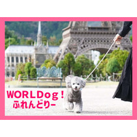 栃木・東武ワールドスクウェア、愛犬とリード入園できる「WORLDog！ふれんどりー」スタート 画像
