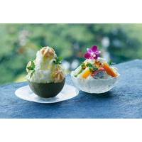 ホテル雅叙園東京、極上の氷菓子「リッチシェイブアイス」を夏季限定発売 画像