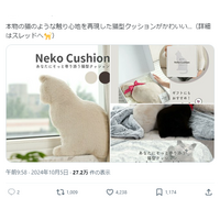 【プライム感謝祭】まさに猫！なモフモフ感を再現！「リアル猫まくら(Neko Cushion)」が20％オフ 画像
