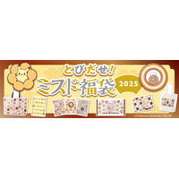 ポケモンデザインのミスド福袋2025が登場 画像