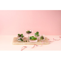 祇園辻利、16日より大人のための『ご褒美抹茶ショコラ』全8種発売 画像