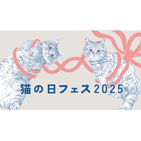 国分寺＆柏マルイで「猫の日フェス」開催！猫モチーフのグルメやグッズ大集合 画像