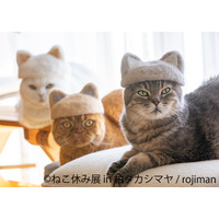 10周年記念！特別な「ねこ休み展」今月末より開催 画像