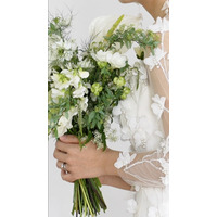 新人女優の登竜門『ゼクシィ』のCMガール＆ボーイが2年ぶりに交代！ 15代目は期待の新人 画像