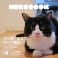 ハチワレ猫「はっちゃん」の奇跡の生還をおさめた写真集が発売 画像