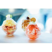 AKOMEYA TOKYO、「国産素材を味わう」贅沢かき氷を神楽坂で26日より販売 画像