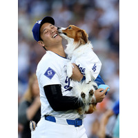大谷翔平の愛犬・デコピンが絵本に！2026年2月販売 画像