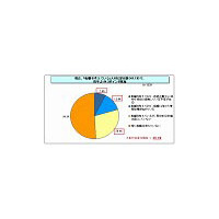 「IT人材、60％が将来の能力発揮に不安」 〜 NTTデータ経営研、意識調査2009を実施 画像