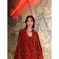 のん、“女王感”あふれるドレス姿を公開！優雅な装いでファン魅了 画像