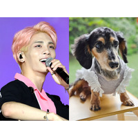 SHINee・ジョンヒョンさんの愛犬ルー、15歳で虹の橋を渡る。家族が報告「ずっと愛してる。もう会いたいよ…」 画像