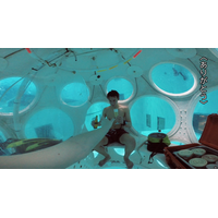 命がけの断崖絶壁や水中のディナー……クレイジーすぎる仰天レストランが大集合 画像