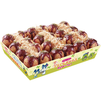 築地銀だこ、“たまごっち”デザインパックが登場！20日より「プチプチおみせっち」コラボ商品が発売 画像