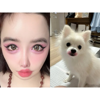 犬に“口紅”塗りたくり炎上　「64272e兆億ウォン」告訴に続いて韓国アイドルがまたしても奇行 画像
