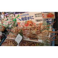 福井県産「越前がに」を“水揚げ当日”に首都圏へ配送！11月29日に東京・埼玉・千葉のイオンで限定販売 画像