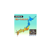 東京都と大阪府、本格花粉シーズンに突入!! 画像