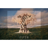 櫻坂46、メンバー全員が白ワンピ姿で桜の木を表現！「5th YEAR ANNIVERSARY LIVE」キービジュアル公開 画像