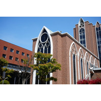 近畿大学、公式SNSで“体毛”募集！異例の呼びかけが話題に 画像