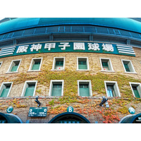 春のセンバツ甲子園2026、出場校32校が決定！初出場は帝京長岡・高知農 画像