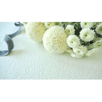 「銀河鉄道999」「北斗の拳」などを担当― 作曲・編曲家の青木望さん死去　 画像