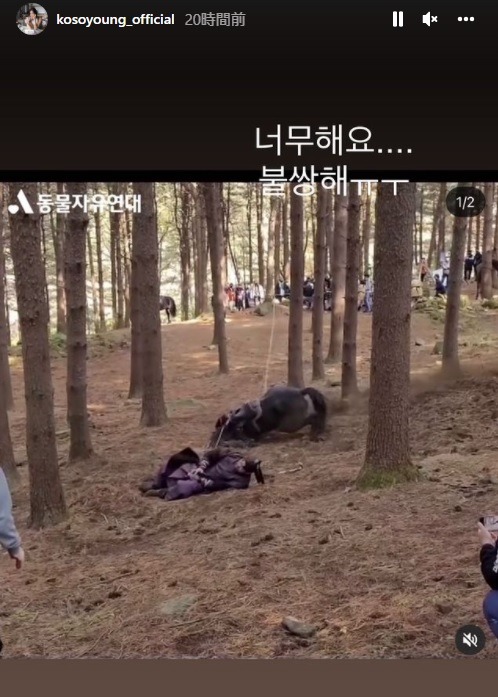 「あんまりだ」と批判