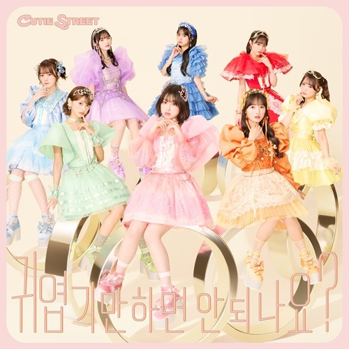 『かわいいだけじゃだめですか?』韓国語バージョン