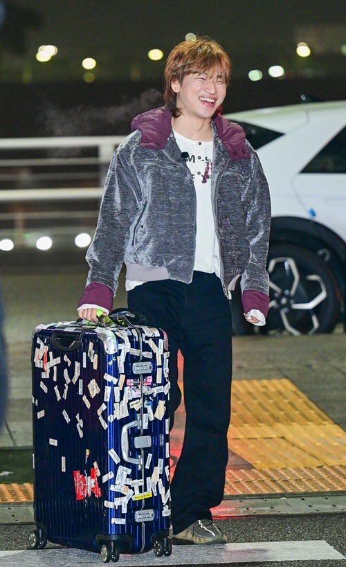 D-LITE