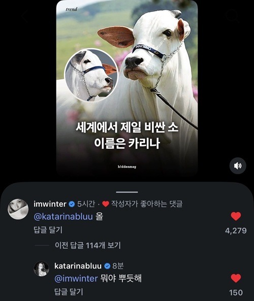 ウィンターとカリナが反応