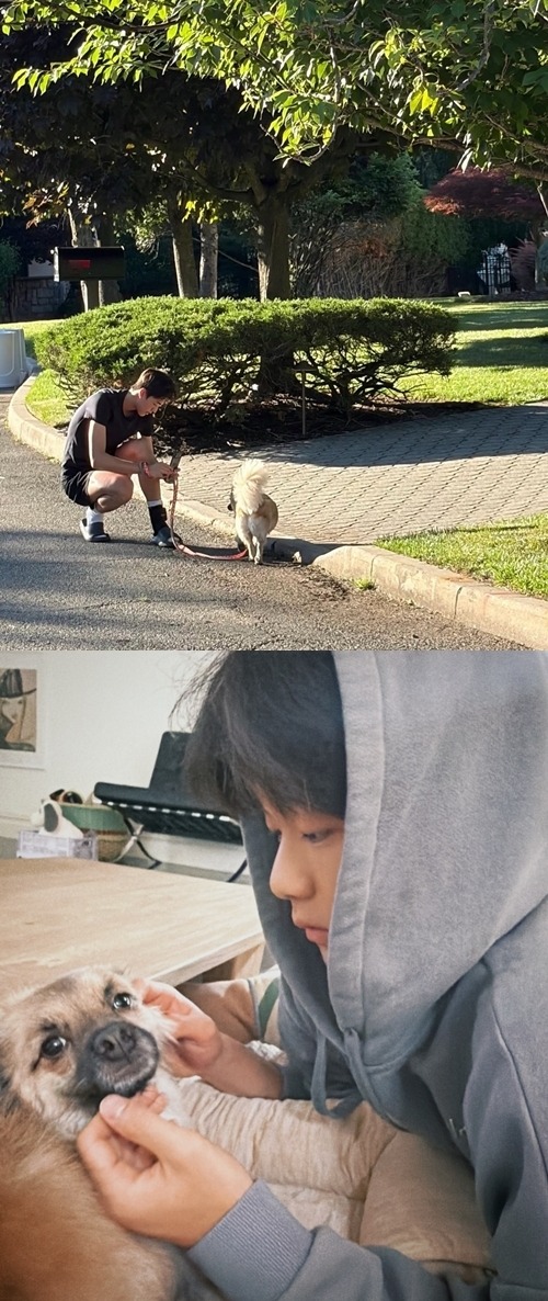 ルッキ君