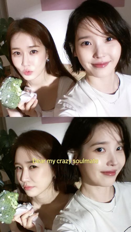 IU、ユ・インナ