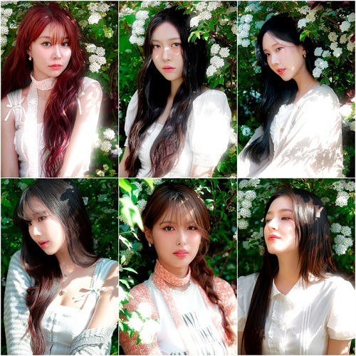 MOMOLAND