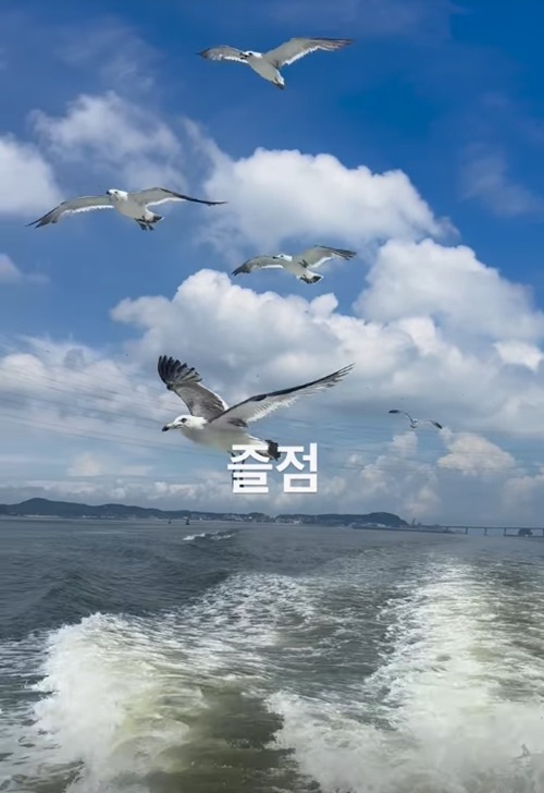 ハ・ジョンウ