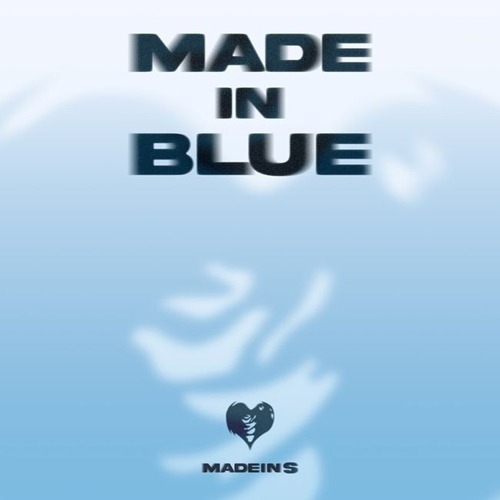 MADEIN S