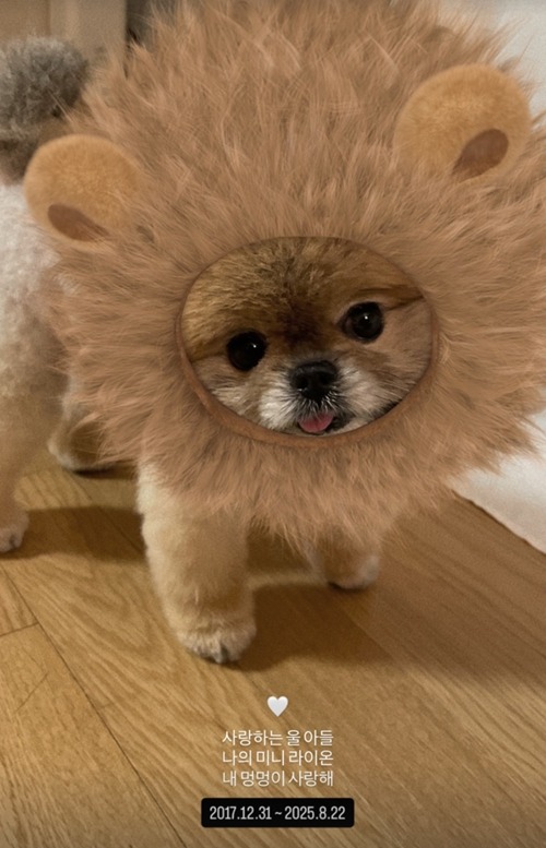 キュリ