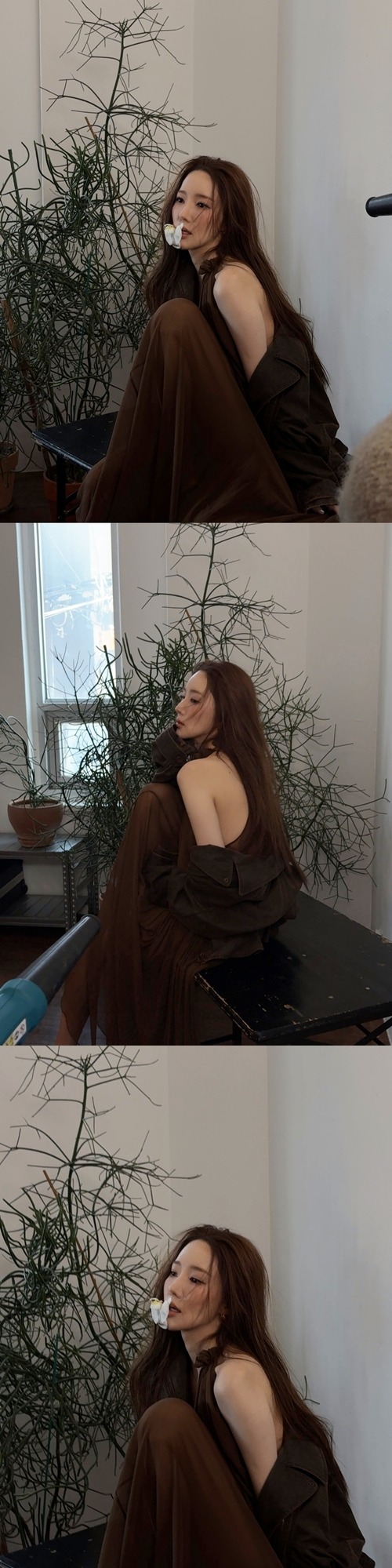 パク・ミニョン