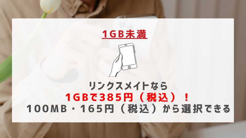 1GB未満：リンクスメイトなら１GBで385円（税込）！100MB・165円（税込）から選択できる