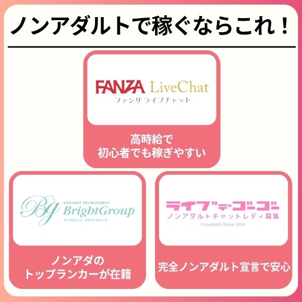 ノンアダルトチャットレディの概要