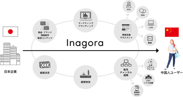 「豌豆(ワンドウ)プラットフォーム」イメージ