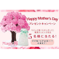 Happy Mother's Day♪『12時間で咲くマジック桜が当たる！』 Magic桜公式Instagramいいね＆フォローキャンペーン！