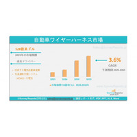 自動車用ワイヤーハーネス市場：需要、シェア、動向、成長、機会、および洞察分析、2025-2035年